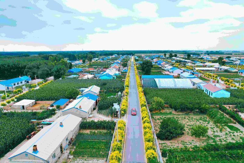 数览成绩单·2025中国经济盘点丨向新提质，为长远发展蓄势增能