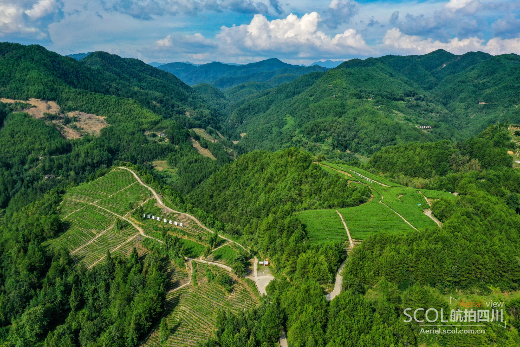 镜观回响2025丨坚定不移走生态优先、绿色发展之路