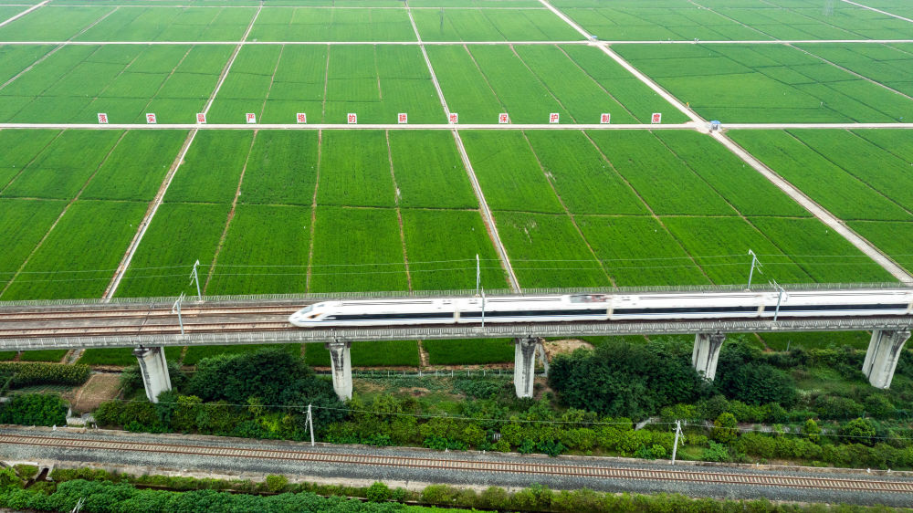 新华视点丨奋力谱写城乡协调发展新篇章