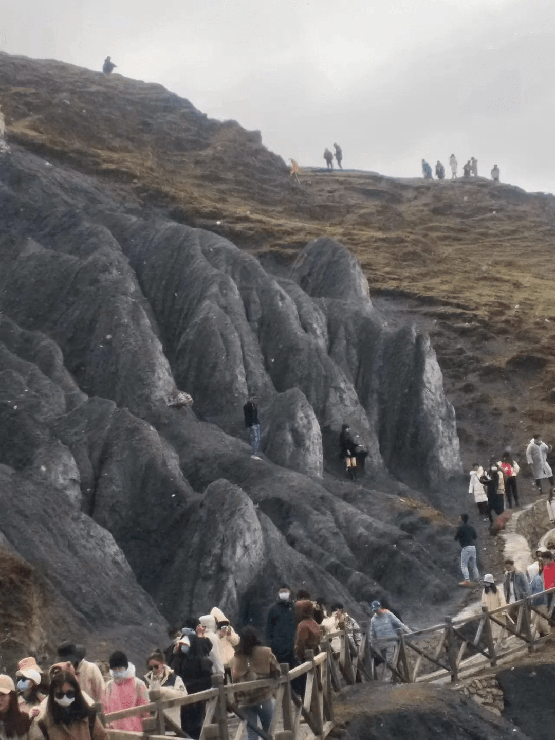 元旦假期约95万人次旅客访港 同比升四成