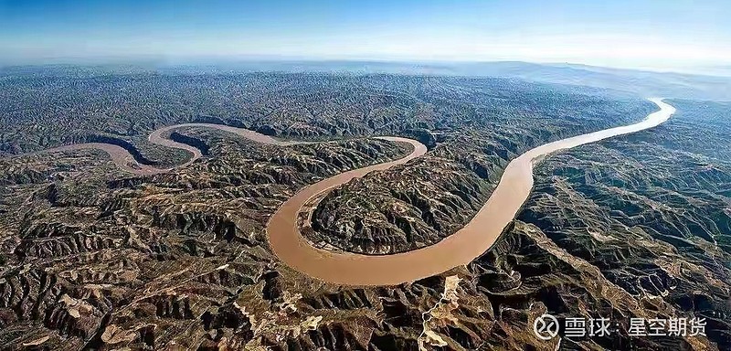 相伴同行二十载 豆油期货服务产业成果丰硕