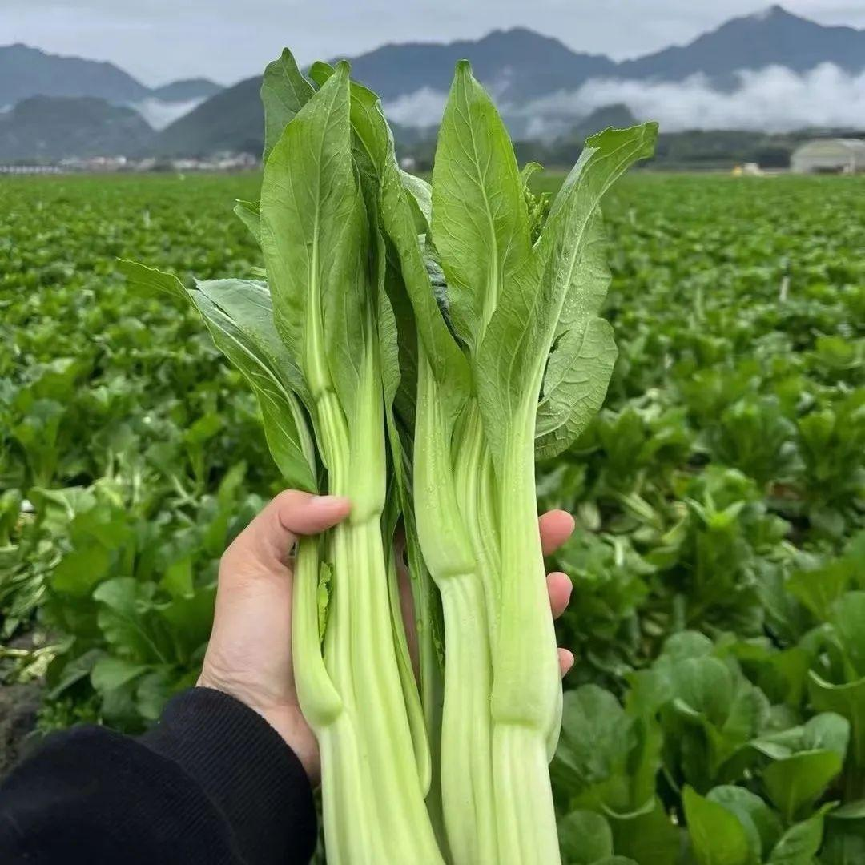 钱大妈披露招股书 全链路优势领跑万亿社区生鲜市场