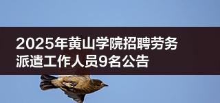 五部门出手规范网络招聘秩序