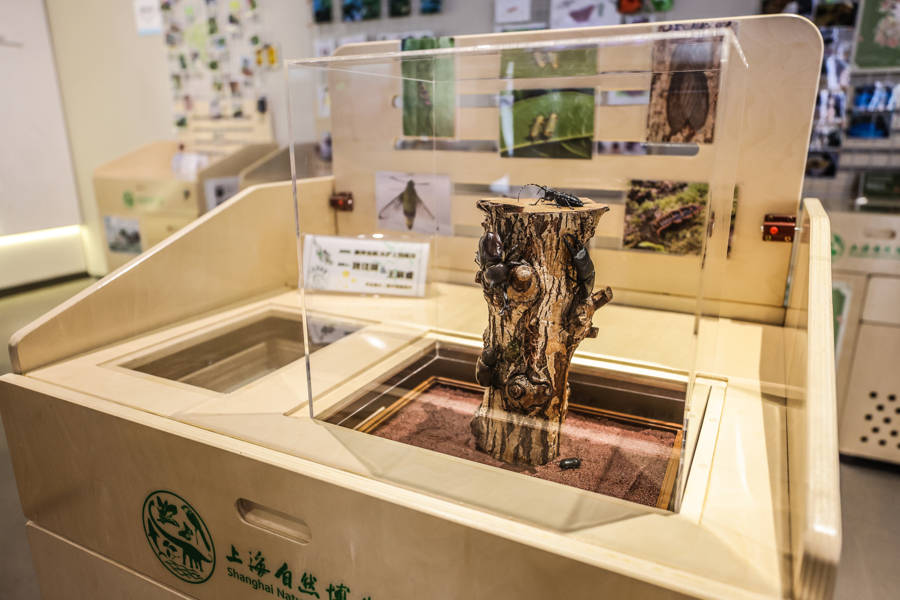 福瑞达跨界融合破局 “工业旅游+直播研学”打造美妆产业新生态