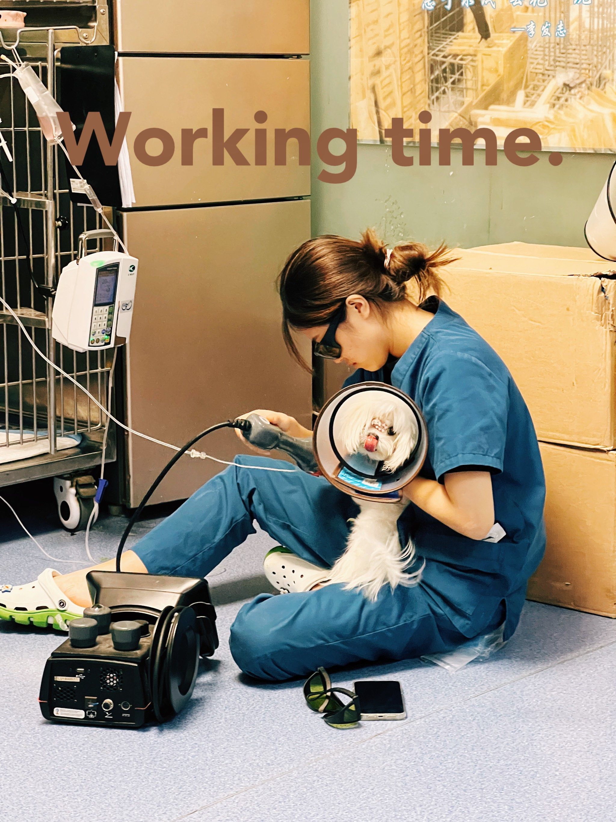 “毛孩子”医保走进直播间 难解宠物主保障之惑