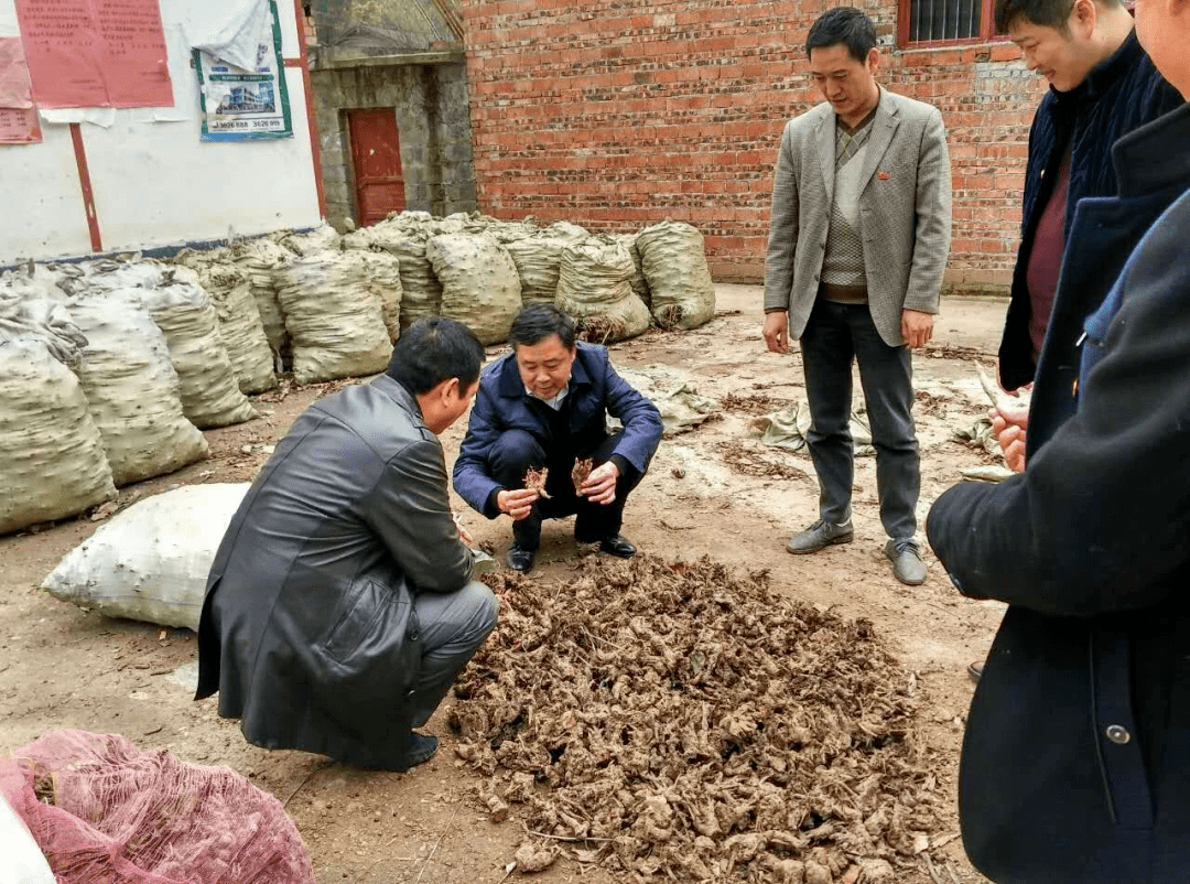 特稿｜同心七十载 聚力新未来——中非携手共逐发展振兴梦