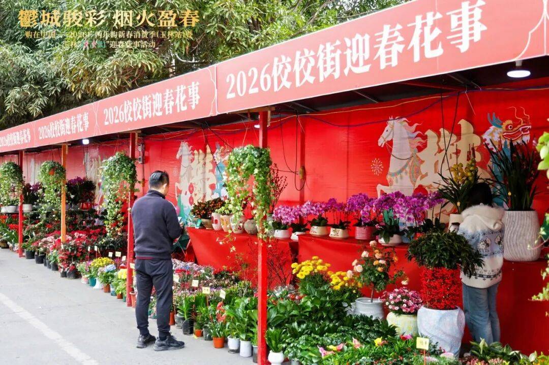 2026“乐购新春”活动将启 加力以旧换新 加大金融支持