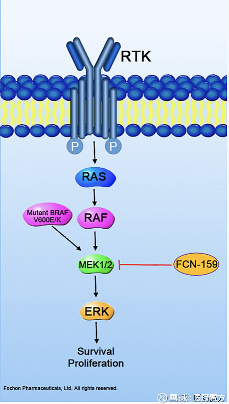 复星医药：控股子公司与Eisai签订许可协议
