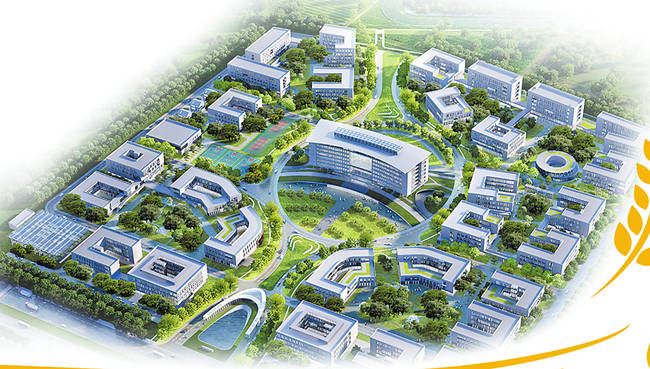 生物谷资金占用案冻结款高效发还上市公司 云南证监局惩戒举措成效明显