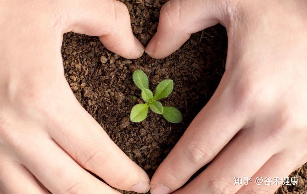 生物谷资金占用案冻结款高效发还上市公司 云南证监局惩戒举措成效明显