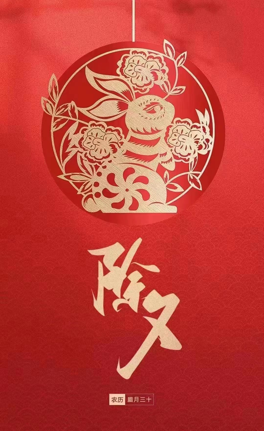 与中国同行就是与机遇同行——新年外交热潮彰显东方大国魅力