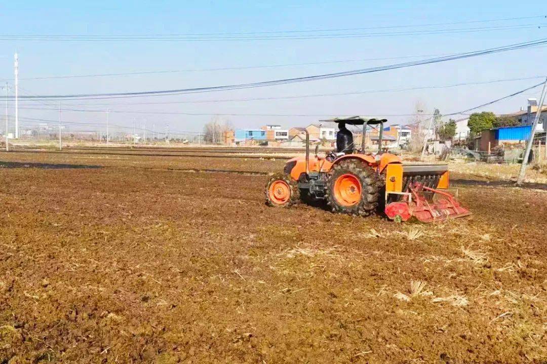 新春走基层丨海岛春来早 实干筑新程——海南自贸港封关后重大项目建设一线走访