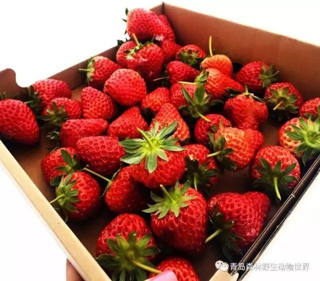 持续增长！春节假期银联、网联共处理交易13.12万亿元