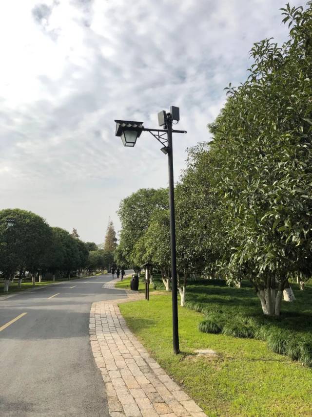 两会特稿丨“让绿色发展真正惠及世界每个地方”——中国携手世界共绘可持续发展新蓝图