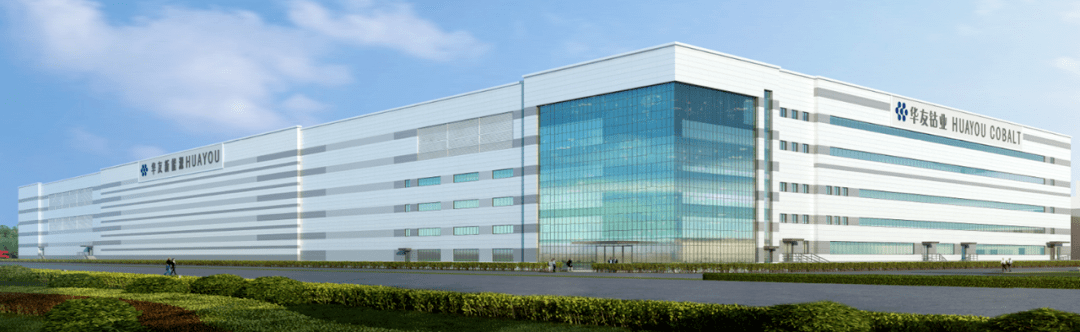 全国人大代表、华友钴业董事长陈雪华：把握能源转型机遇 实现高质量发展