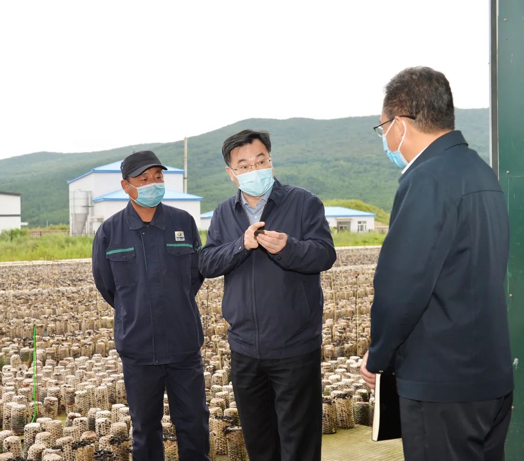 全国人大代表、华友钴业董事长陈雪华：把握能源转型机遇 实现高质量发展
