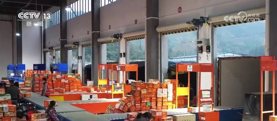 隆基绿能牛燕燕：以场景化创新破局光伏“内卷” 构建差异化竞争壁垒